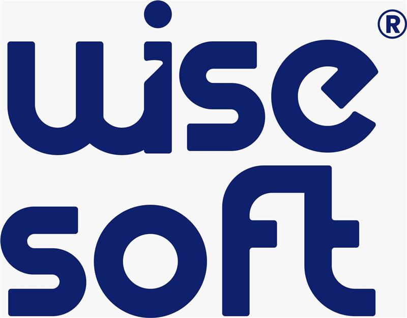 Logo Wise Software Sistemas